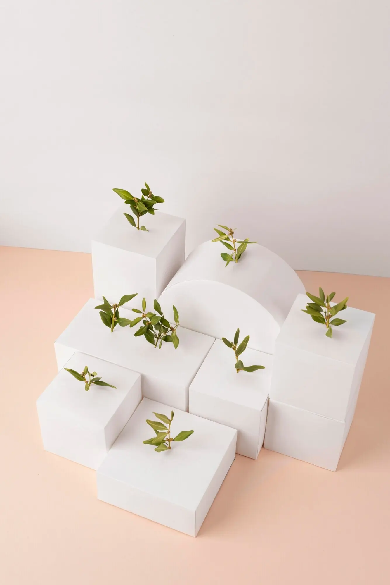 Ein Nachhaltigkeitskonzept, bei dem Pflanzen aus geometrischen Formen wachsen.